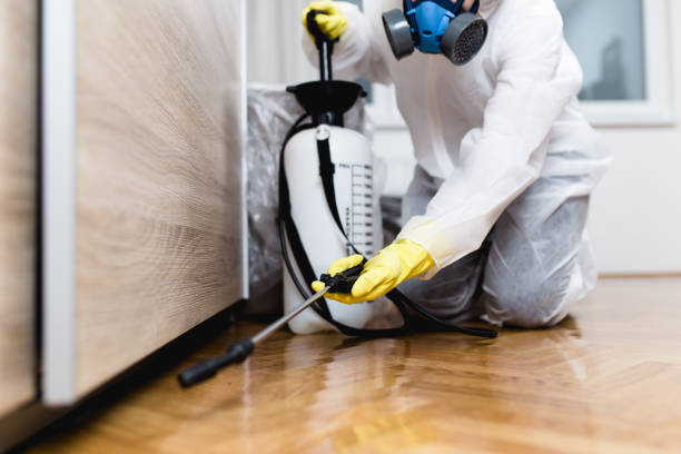 Trusted Forest Grove, OR Pest Control Experts