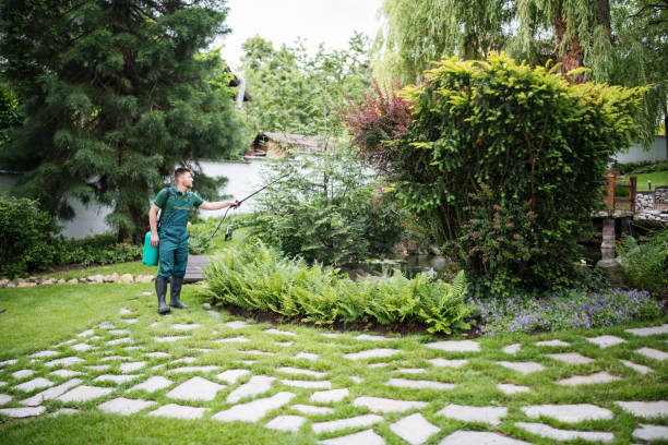 Best Best Pest Control Companies  in Fest Grove, OR