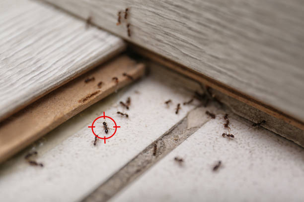 Best Commercial Pest Control Services  in Fest Grove, OR