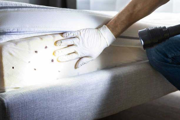 Best Cockroach Control Services  in Fest Grove, OR