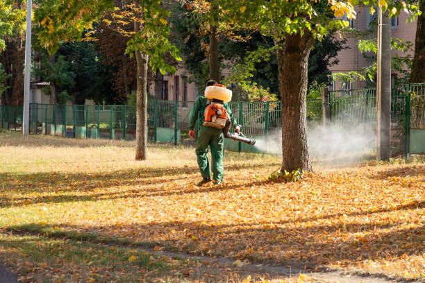 Best Pest Removal Services  in Fest Grove, OR