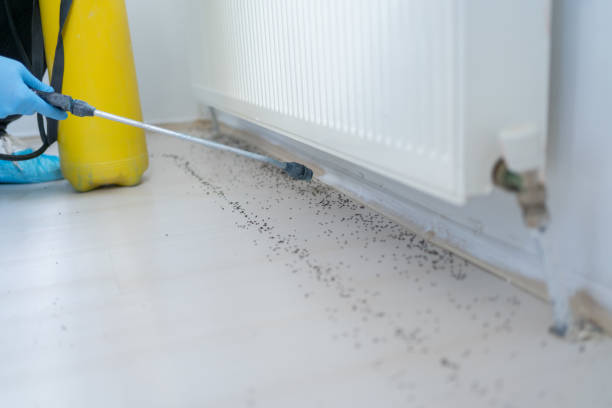 Best Pest Removal Services  in Fest Grove, OR